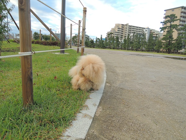 DSCN5245.jpg