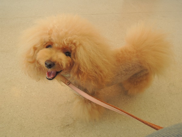 DSCN5249.jpg