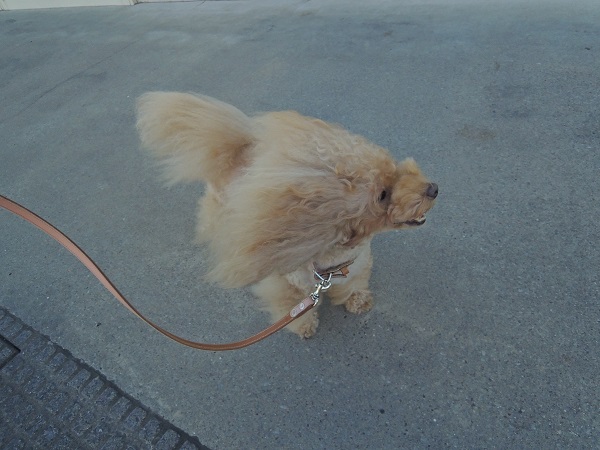 DSCN5255.jpg