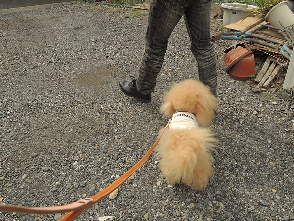 DSCN5284.jpg