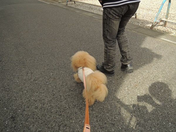 DSCN5288.jpg