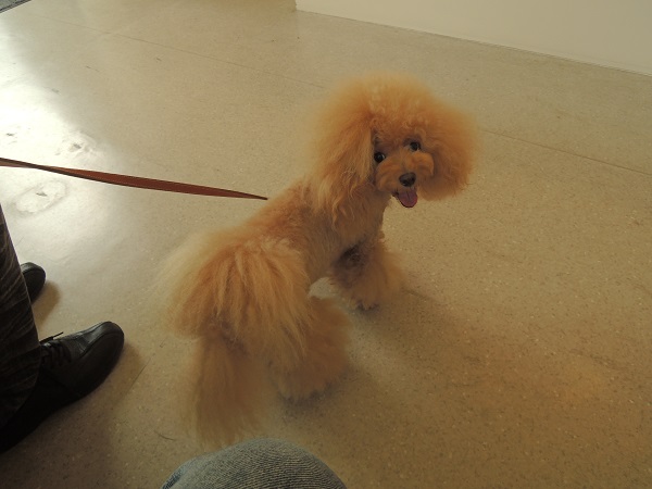 DSCN5290.jpg