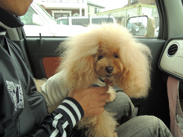 DSCN5296.jpg