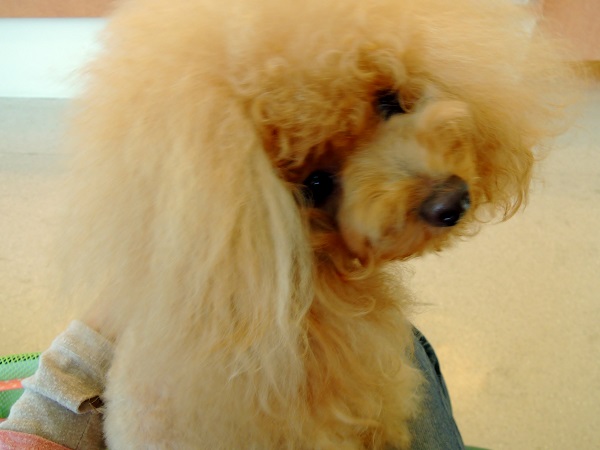DSCN5303.jpg