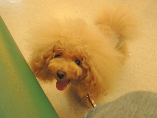 DSCN5314.jpg