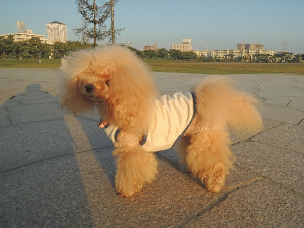 DSCN5315.jpg