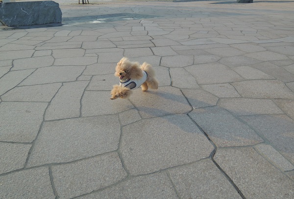 DSCN5341.jpg