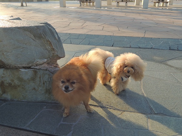 DSCN5348.jpg