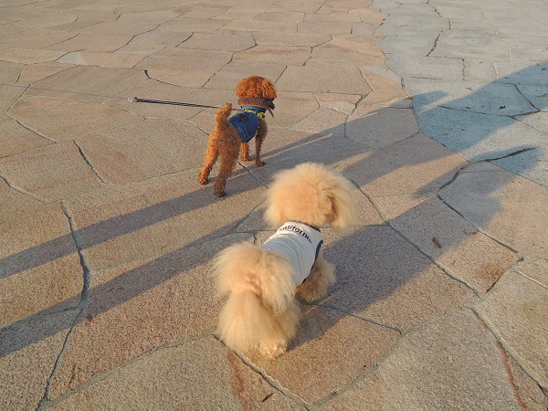 DSCN5378.jpg
