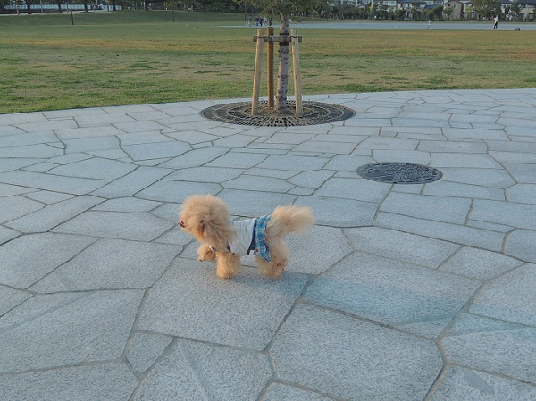 DSCN5385.jpg