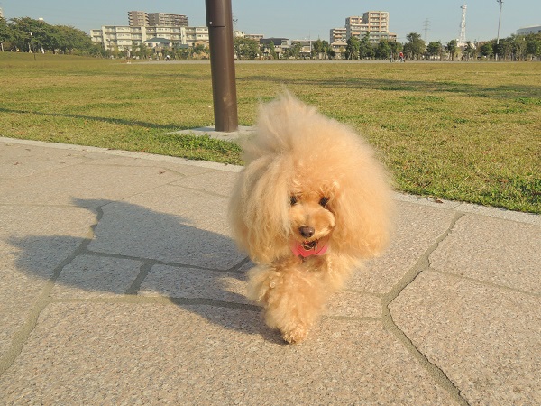DSCN5429.jpg