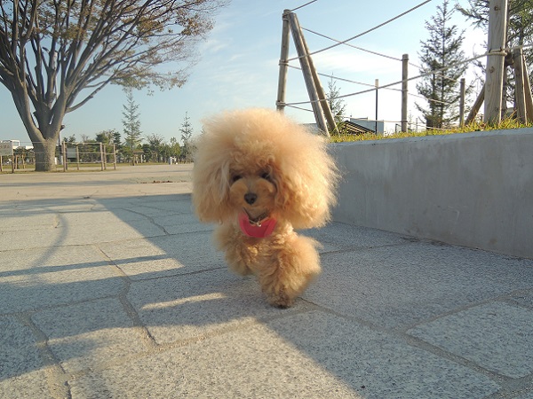DSCN5432.jpg