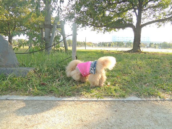 DSCN5440.jpg