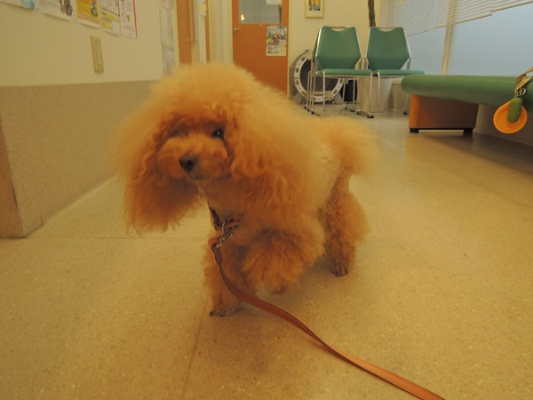 DSCN5643.jpg