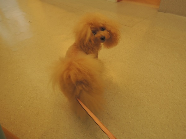 DSCN5646.jpg