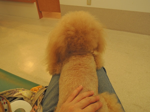 DSCN5650.jpg