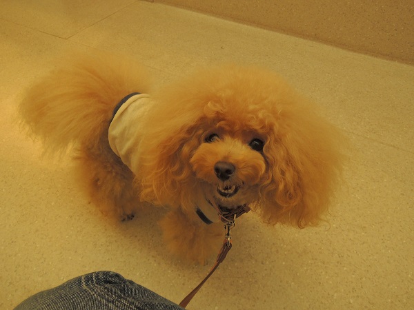 DSCN5654.jpg