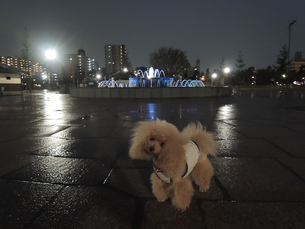 DSCN5655.jpg