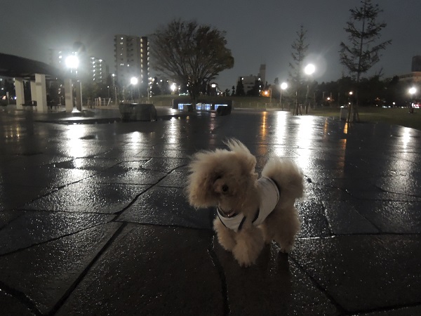 DSCN5656.jpg