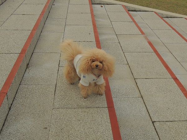 DSCN5665.jpg