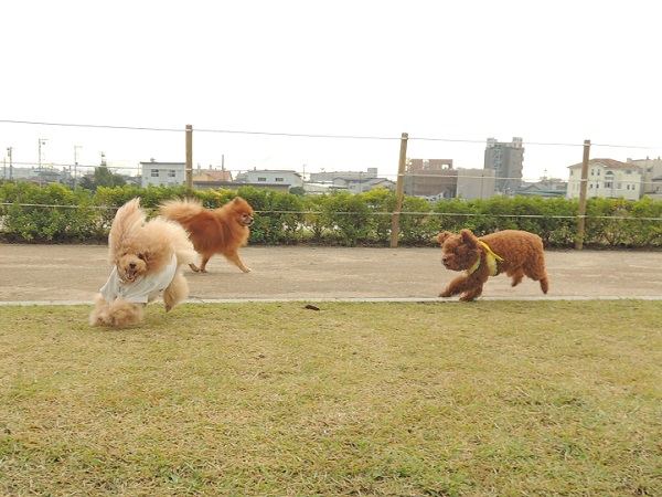 DSCN5666.jpg