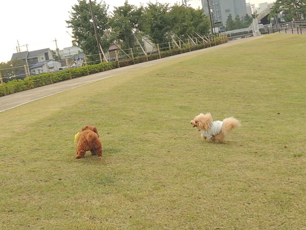 DSCN5667.jpg