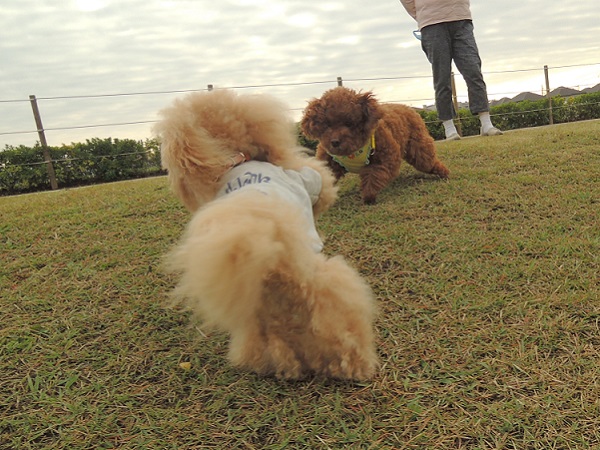 DSCN5673.jpg