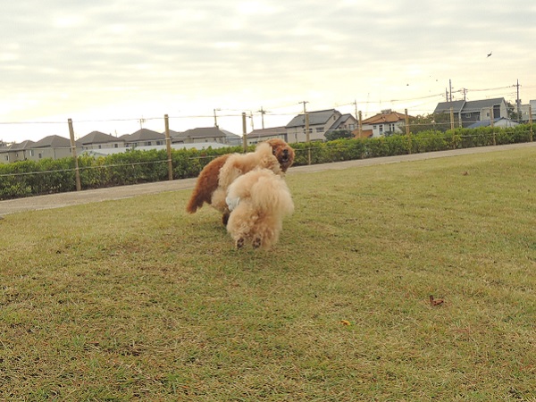 DSCN5674.jpg