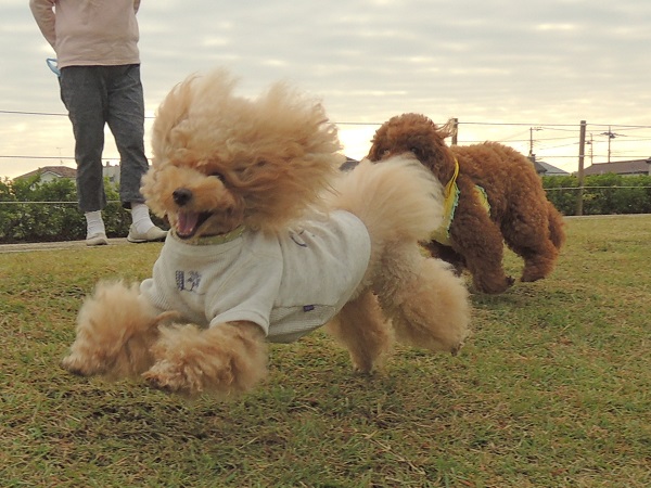DSCN5676.jpg