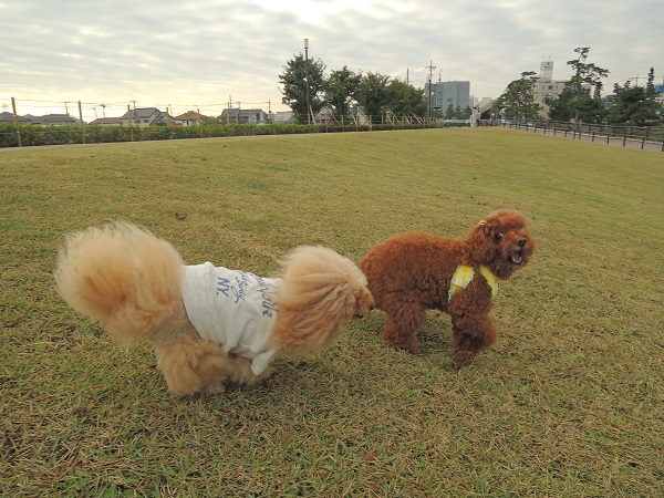 DSCN5677.jpg
