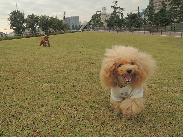 DSCN5678.jpg