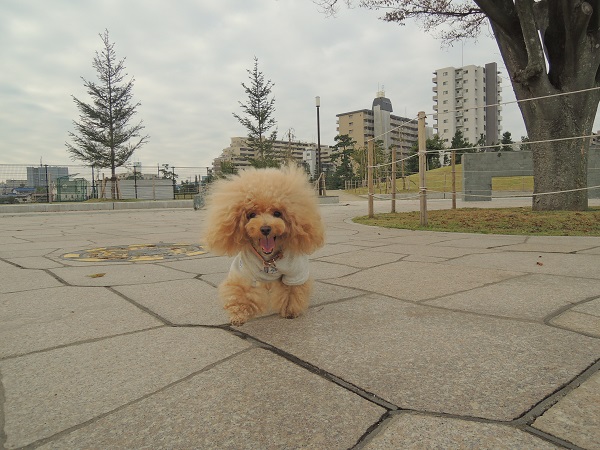 DSCN5684.jpg