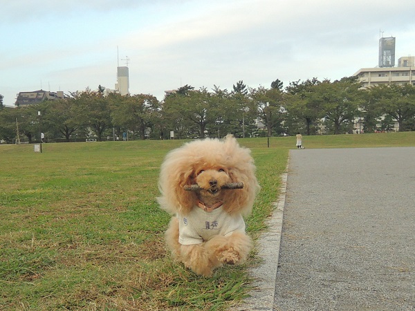 DSCN5736.jpg