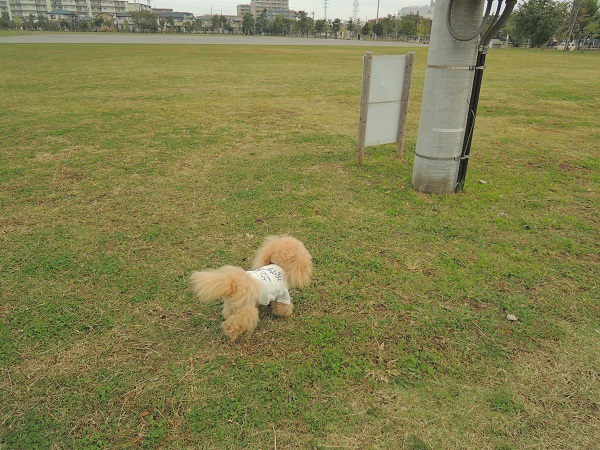 DSCN5752.jpg