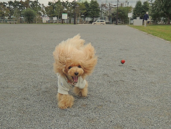 DSCN5760.jpg