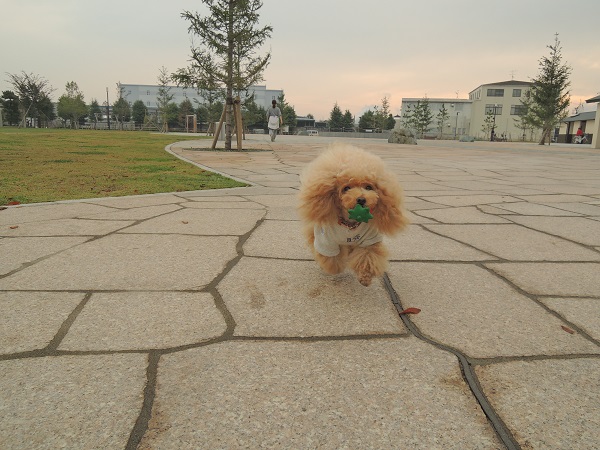 DSCN5785.jpg