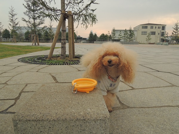 DSCN5787.jpg