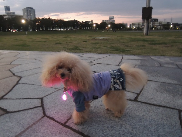 DSCN5792.jpg