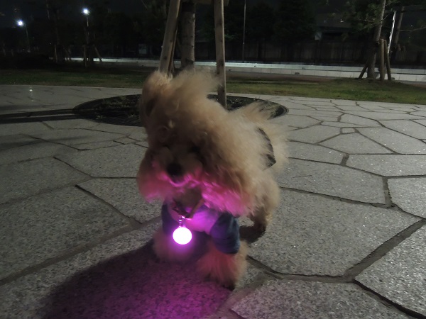 DSCN5793.jpg
