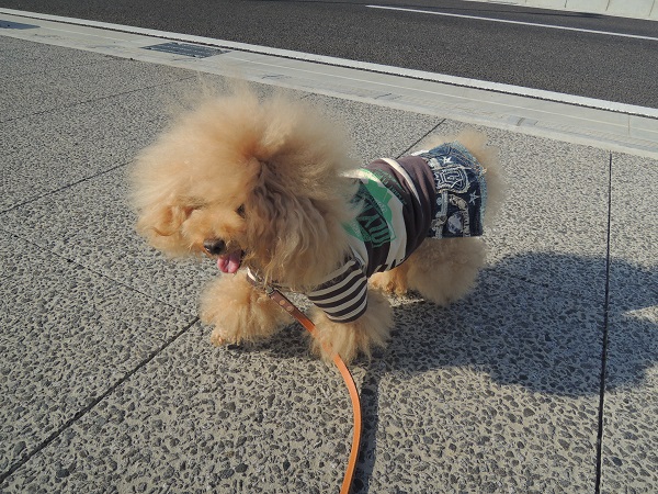 DSCN9949.jpg