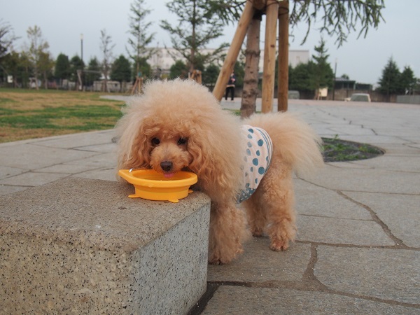 PB120613.jpg