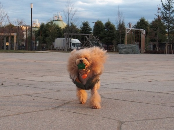 PC120978.jpg