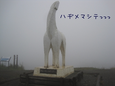 馬