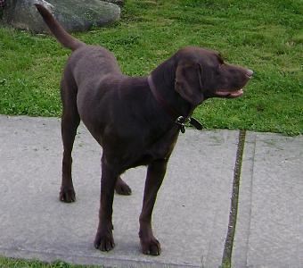 070212-10.jpg