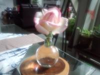 IMG_20120620_080207.jpg