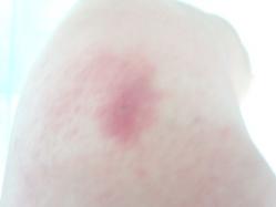 IMG_20120916_122336.jpg