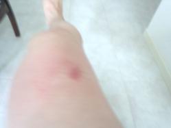 IMG_20120916_122417.jpg