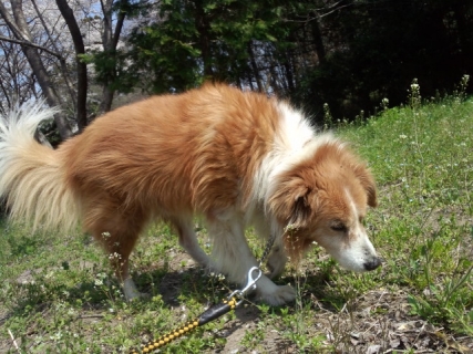 140408_101516.jpg