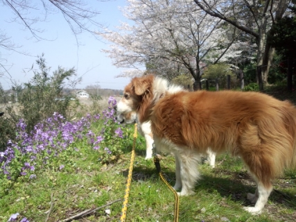 140408_101854.jpg