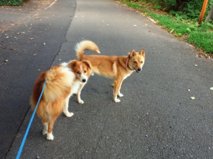2012090910260000.jpg